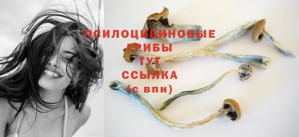 ешки Баксан