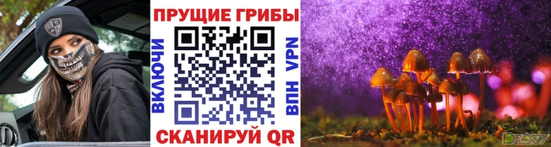 Галлюциногенные грибы Psilocybe  Купить  Лабинск 